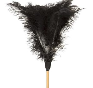 FEATHER DUSTER