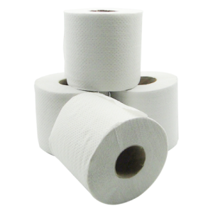 1 PLY ENVIRO TOILET ROLLS 21GSM - 500SH x 48