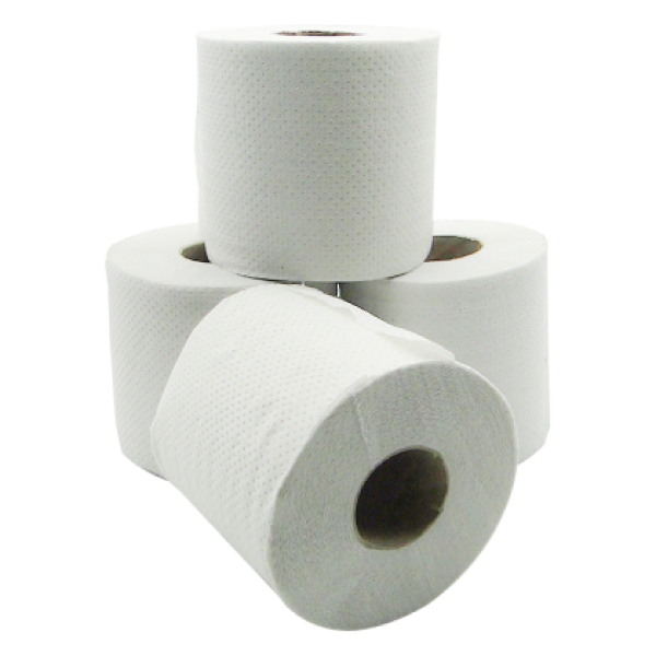 1 PLY ENVIRO TOILET ROLLS 21GSM - 500SH x 48