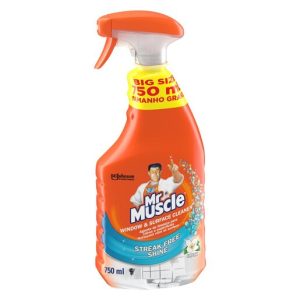 Mr Muscle Fresh Window & Surface Cleaner Trigger 750ml